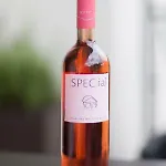 Special 公寓 *